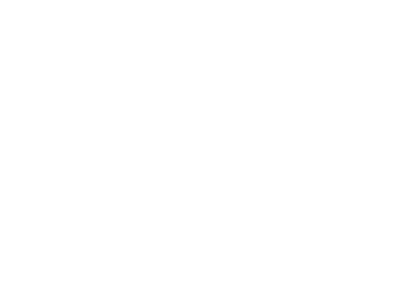 Britney Lee Real Estate